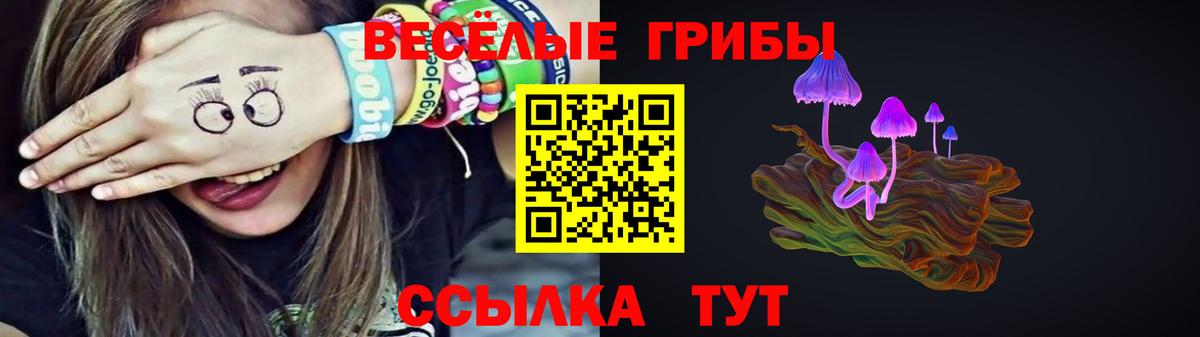 Псилоцибиновые грибы GOLDEN TEACHER Старый Оскол